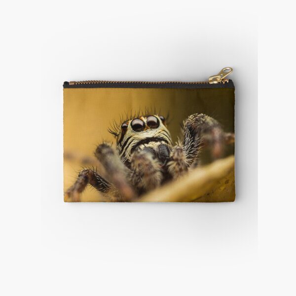Item preview, Macaroeris nidicolens jumping spider high magnification photo designed and sold by Mario Cehulic.