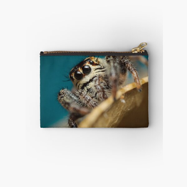 Item preview, Macaroeris nidicolens female jumping spider extreme macro designed and sold by Mario Cehulic.
