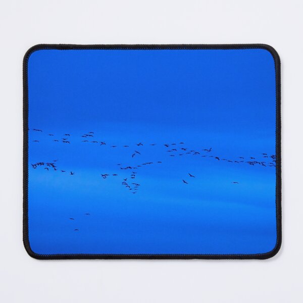 Item preview, Eurasian crane blues and sounds designed and sold by Jouko Lehto Photography.