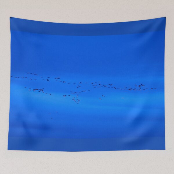 Item preview, Eurasian crane blues and sounds designed and sold by Jouko Lehto Photography.