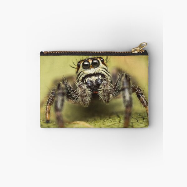 Item preview, Macaroeris nidicolens jumping spider photo designed and sold by Mario Cehulic.