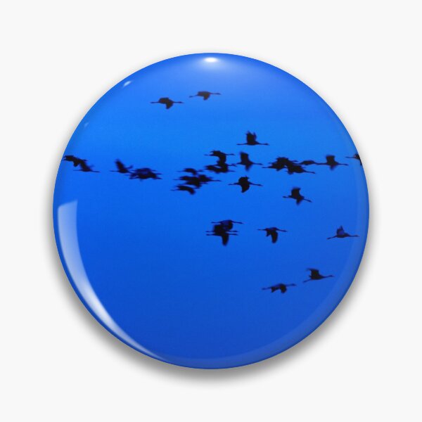 Item preview, Eurasian crane blues and sounds 2 designed and sold by Jouko Lehto Photography.