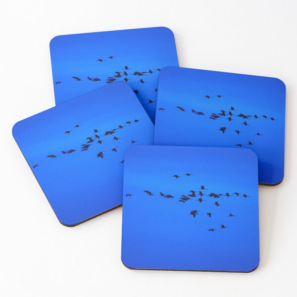 Item preview, Eurasian crane blues and sounds 2 designed and sold by Jouko Lehto Photography.