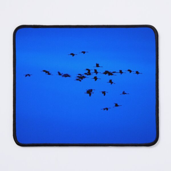 Item preview, Eurasian crane blues and sounds 2 designed and sold by Jouko Lehto Photography.