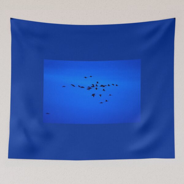 Item preview, Eurasian crane blues and sounds 2 designed and sold by Jouko Lehto Photography.