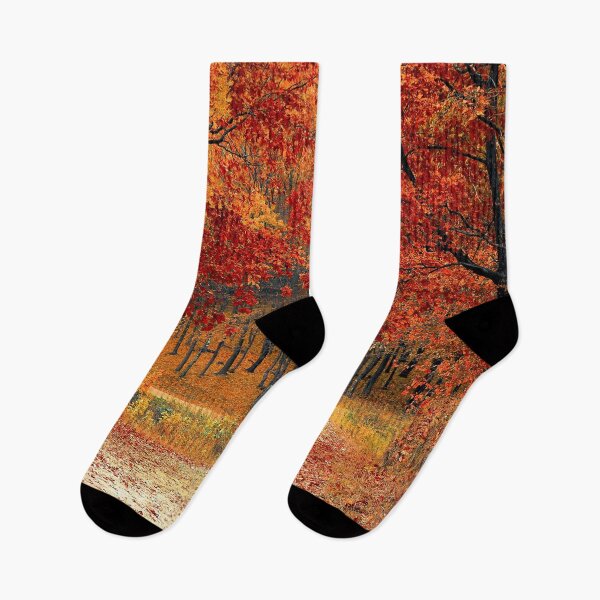 Item preview, Forest in autumn designed and sold by OrionPhotograph.