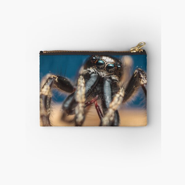 Item preview, Salticus scenicus male jumping spider photo designed and sold by Mario Cehulic.