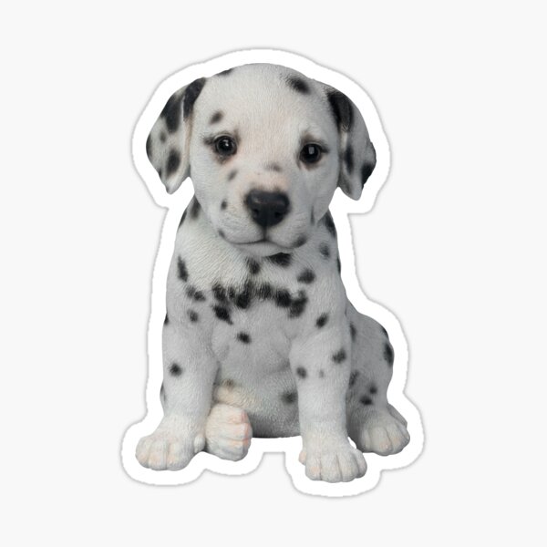 Dalmatian Puppy  Sticker