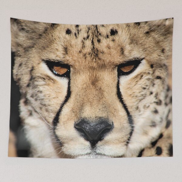 Item preview, Pussy Cat designed and sold by Paul Campbell  Photography.