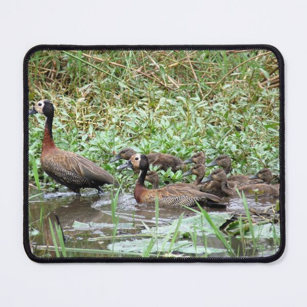 Item preview, Family outing.... designed and sold by LivWildlife.