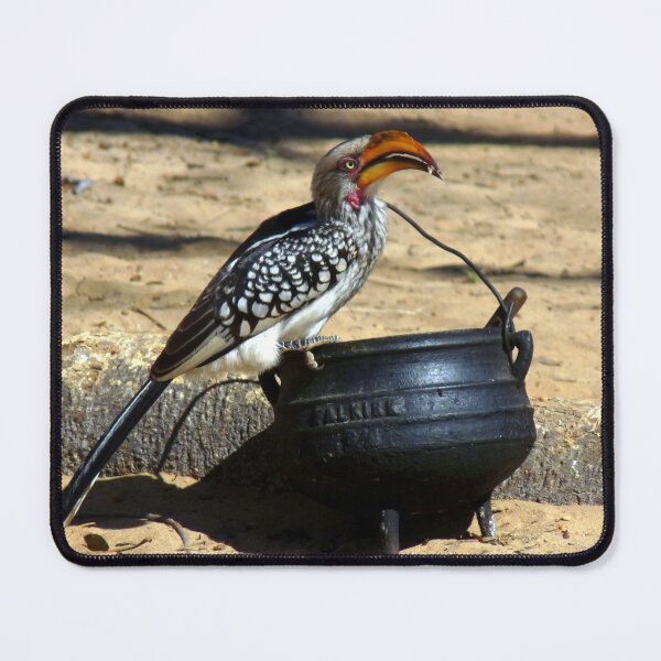 Item preview, Thief... designed and sold by LivWildlife.