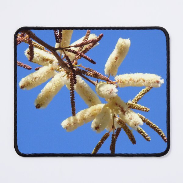 Item preview, Blossom on blue designed and sold by LivWildlife.