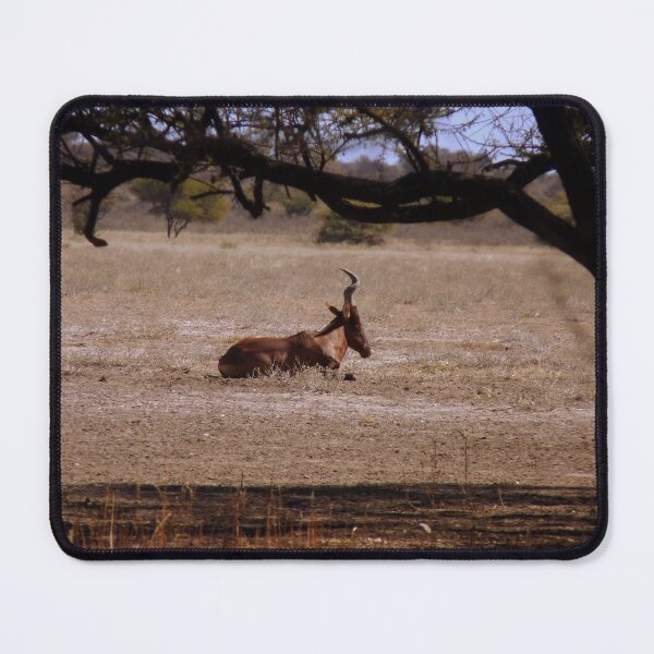 Item preview, Resting Hartebeest  designed and sold by LivWildlife.