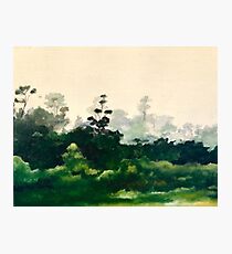 Cambria Photographic Print