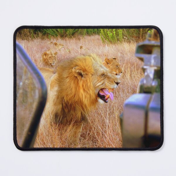 Item preview, A little too close for comfort..... designed and sold by LivWildlife.