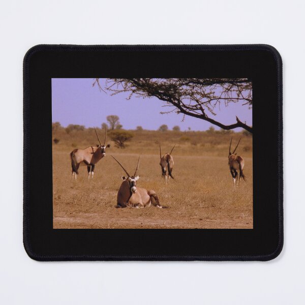 Item preview, Gemsbok..... designed and sold by LivWildlife.