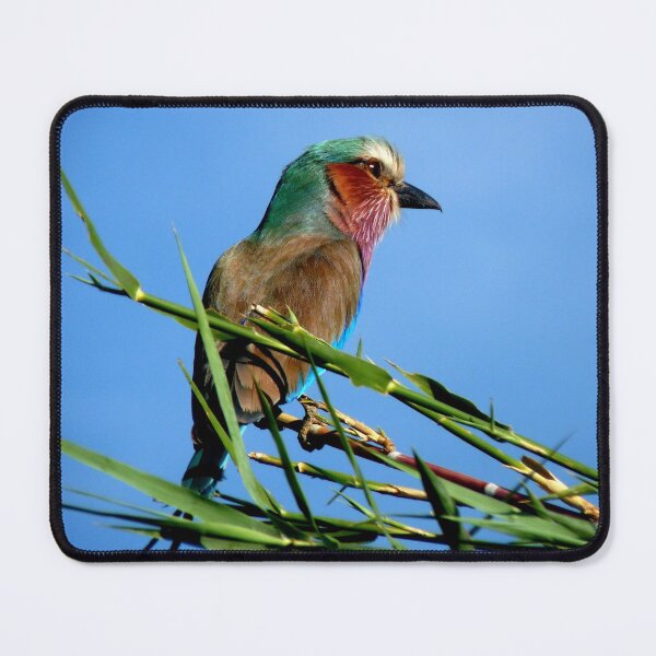 Item preview, Birds eye view designed and sold by LivWildlife.