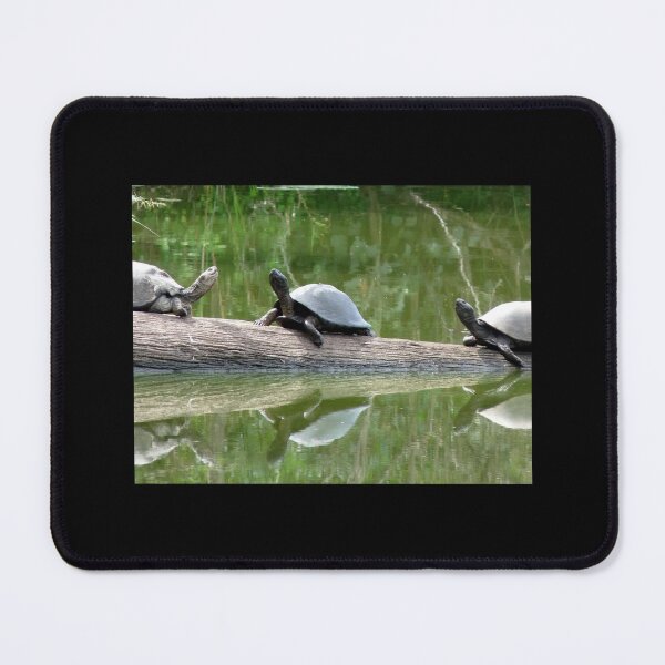 Item preview, Do you see it...?? designed and sold by LivWildlife.