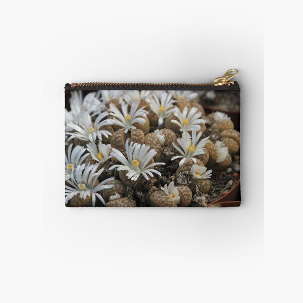 Item preview, Lithops marmorata designed and sold by Etwin.