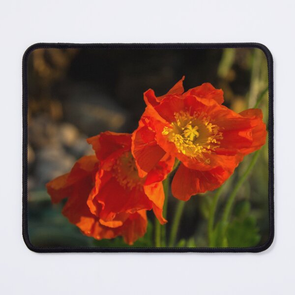 Item preview, Crushed Silk Petals - Three Red Poppies Glowing in a Shady Garden designed and sold by Georgia Mizuleva.