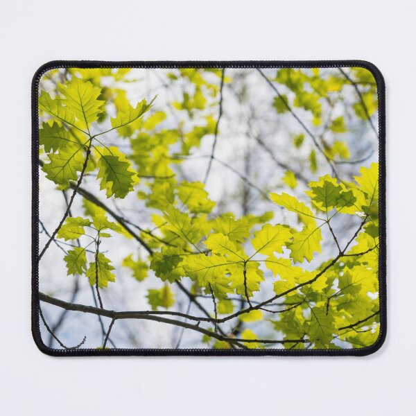 Item preview, Fresh Green Filigree of Spring - Oak Leaves and Branches designed and sold by Georgia Mizuleva.