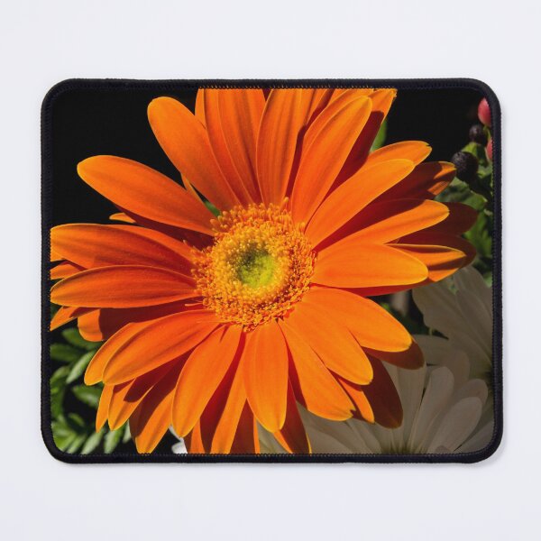 Item preview, Orange Sunshine with Daisies designed and sold by Georgia Mizuleva.