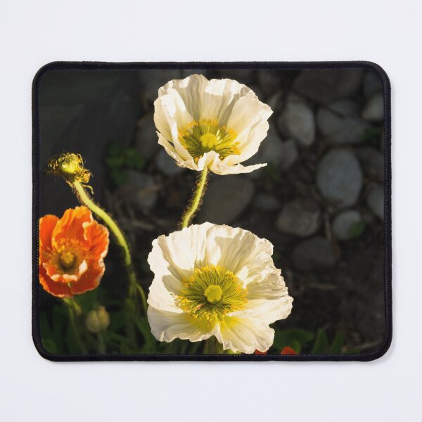 Item preview, Multicoloured Poppies Aglow designed and sold by Georgia Mizuleva.