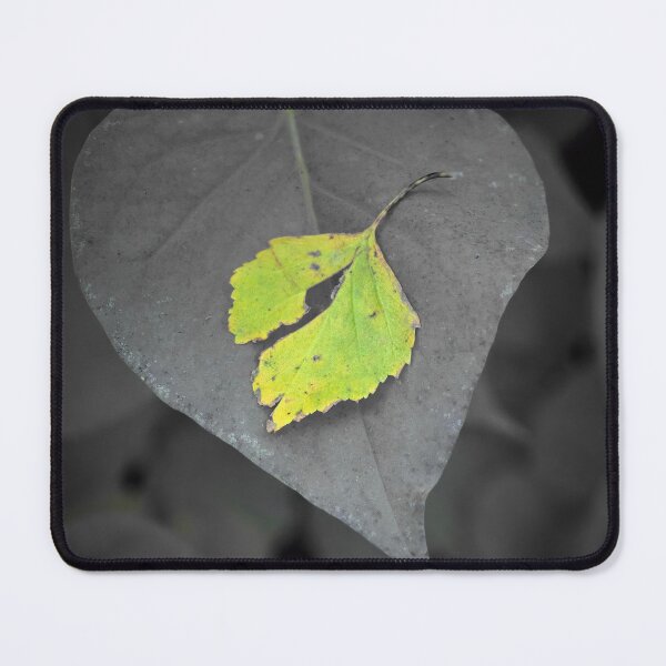 Item preview, Ashes to ashes. IR designed and sold by Jouko Lehto Photography.