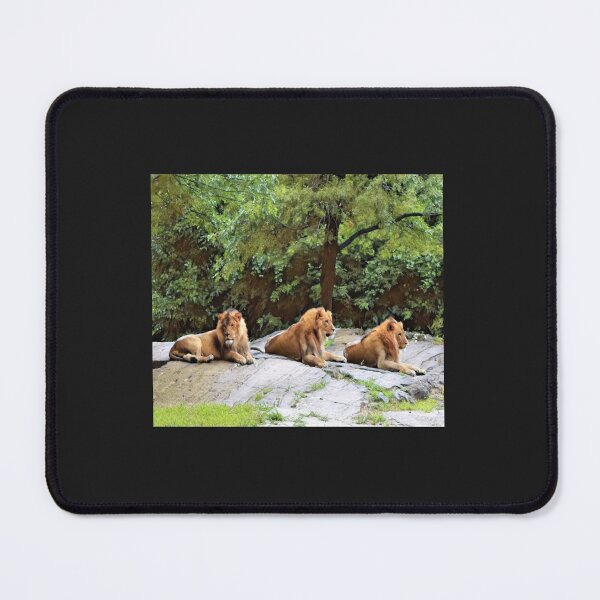 Item preview, Kings Of The Jungle designed and sold by FashionHeree.
