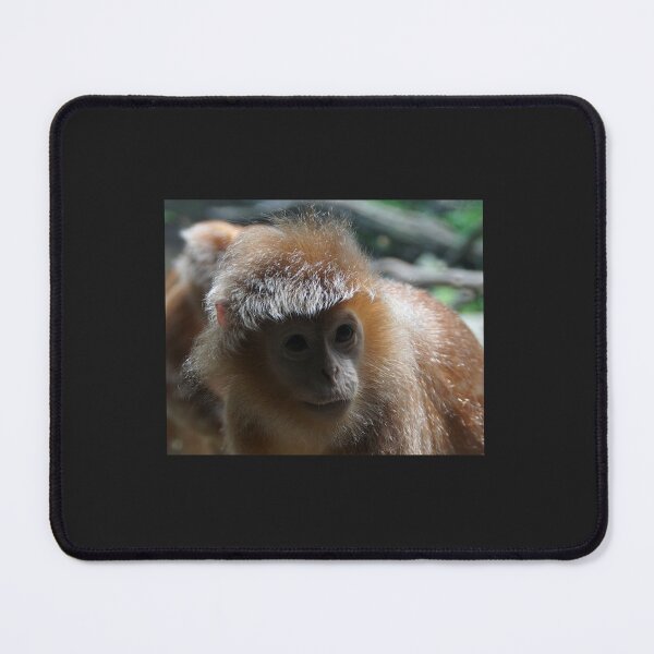 Item preview, Monkey designed and sold by FashionHeree.