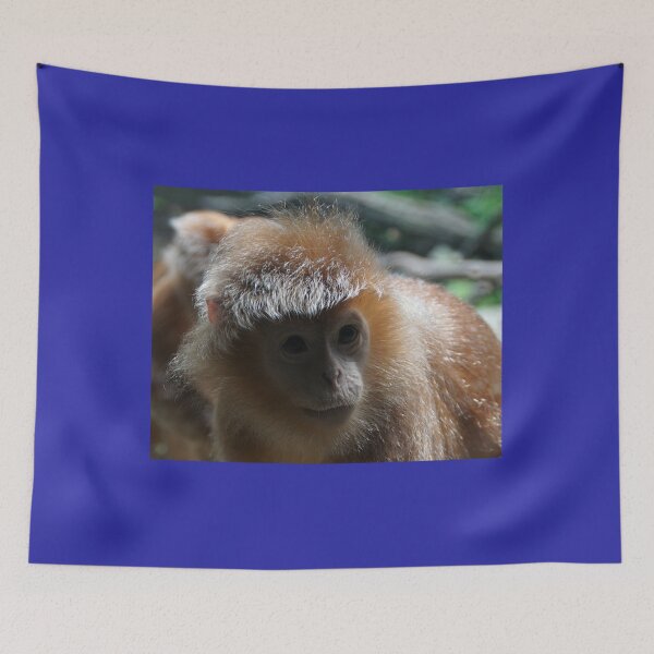 Item preview, Monkey   designed and sold by FashionHeree.