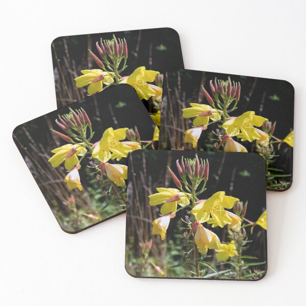 Item preview, Evening Primrose designed and sold by Kezzles.