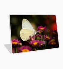 Cloudless Sulphur Butterfly Laptop Skin