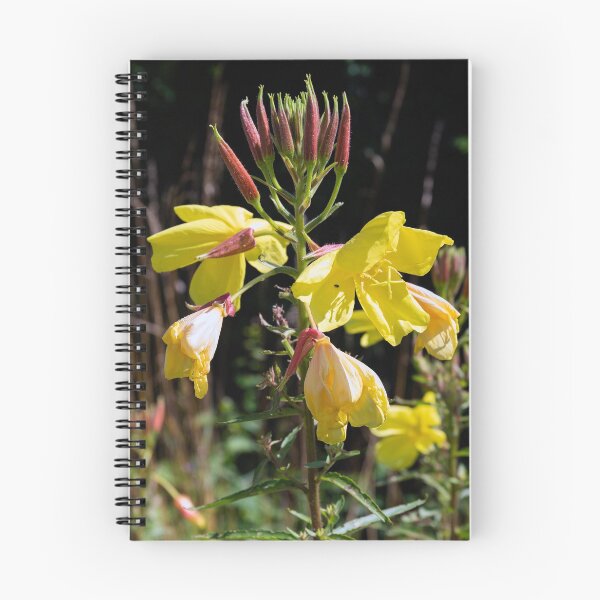 Item preview, Evening Primrose designed and sold by Kezzles.