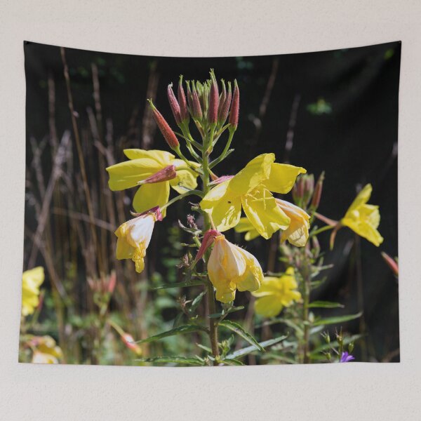 Item preview, Evening Primrose designed and sold by Kezzles.