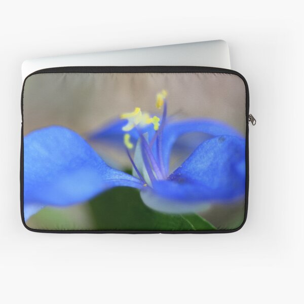 Commelina diffusa Laptop Sleeve