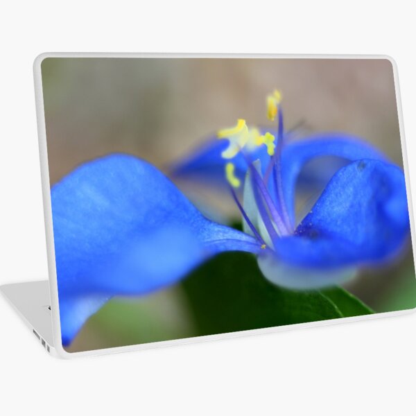 Commelina diffusa Laptop Skin