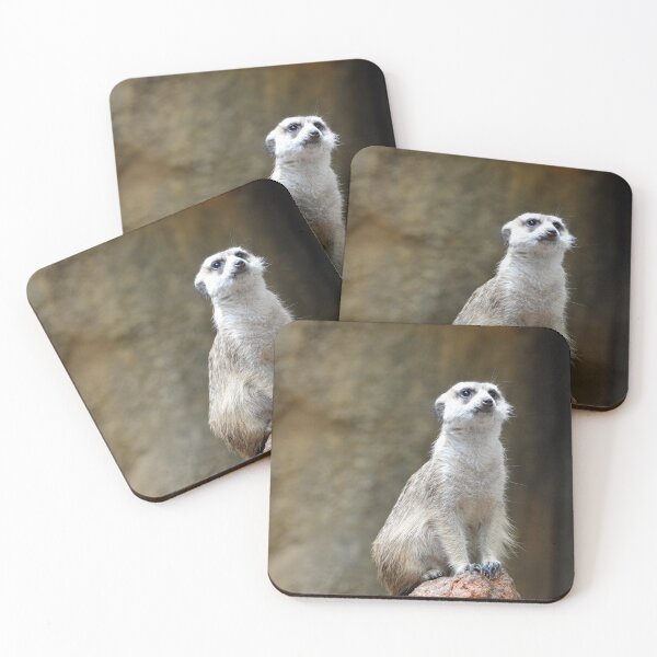 Item preview, Where's Pumba? designed and sold by Drgnfly4free.