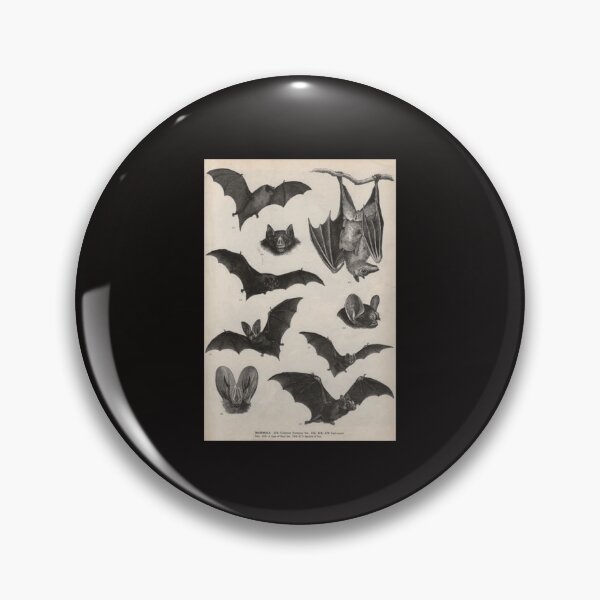 Item preview, illustrations de chauve-souris victorienne vintage Poster designed and sold by HortonHarmon17.