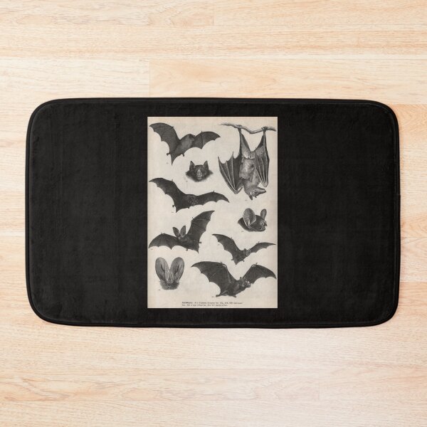 Item preview, illustrations de chauve-souris victorienne vintage Poster designed and sold by HortonHarmon17.