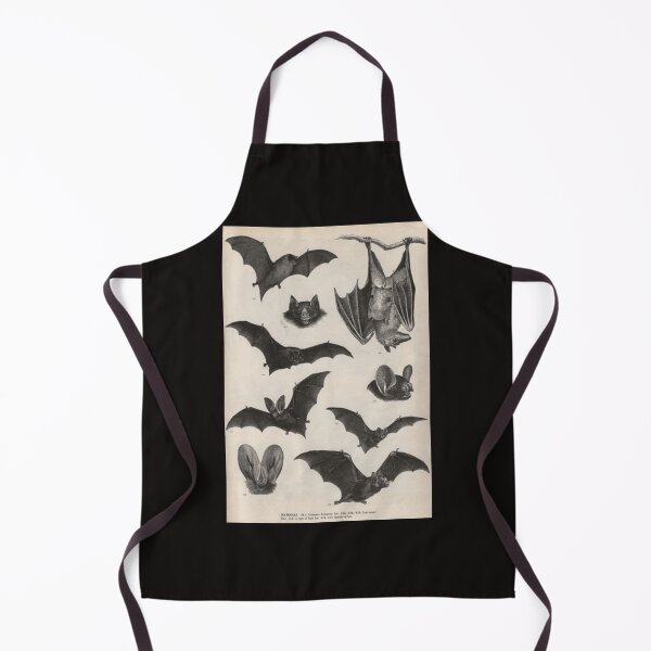 Item preview, illustrations de chauve-souris victorienne vintage Poster designed and sold by HortonHarmon17.