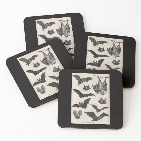 Item preview, illustrations de chauve-souris victorienne vintage Poster designed and sold by HortonHarmon17.