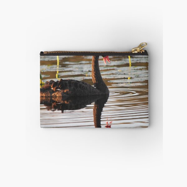 Item preview, Swan Talk designed and sold by byronbackyard.
