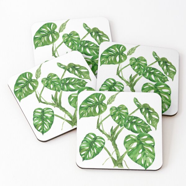 Item preview, Monstera adansonii designed and sold by PetitMartin.
