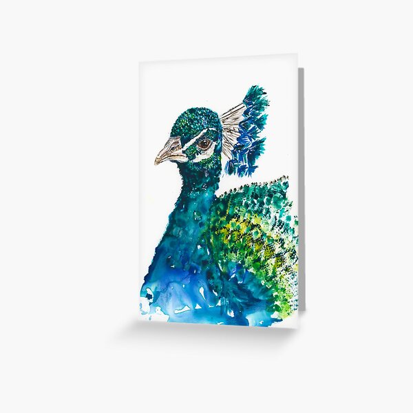 Designer Greetings 711-00010-000 - Deluxe Card Organizer Kit in Decorative Peacock Feather Patterned Greeting Card Organizer