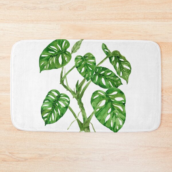 Item preview, Monstera adansonii designed and sold by PetitMartin.