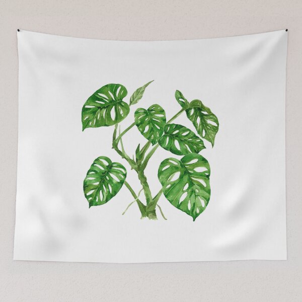 Item preview, Monstera adansonii designed and sold by PetitMartin.