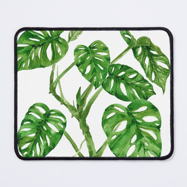 Item preview, Monstera adansonii designed and sold by PetitMartin.