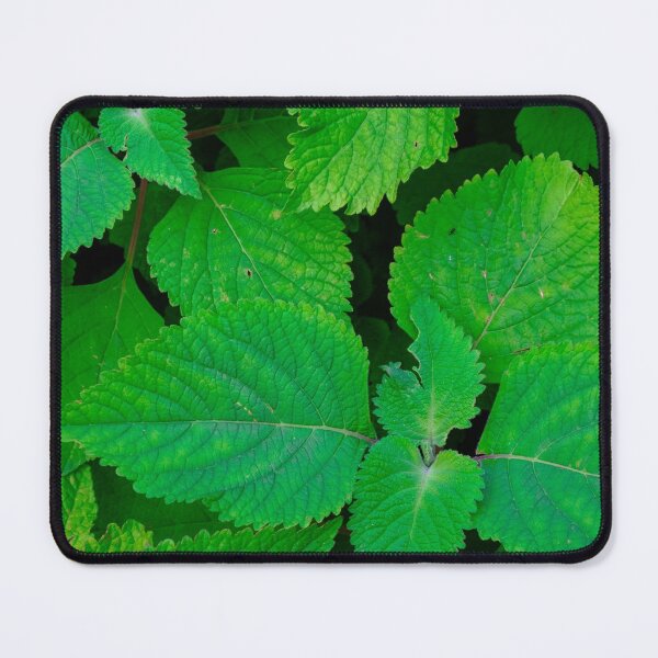 Item preview, Lush designed and sold by jamespaullondon.