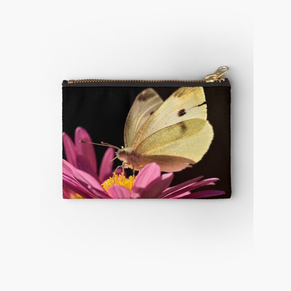 Item preview, Cabbage Moth (Pieris rapae) designed and sold by Alex Ford.